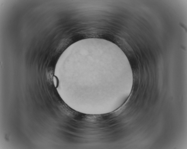 X0000090980190200708301258