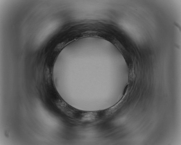 X0000090980191200708301258
