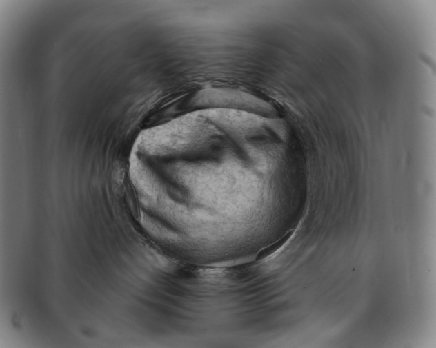 X0000090980192200708301258