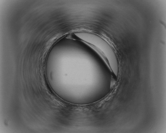 X0000090980193200708301257