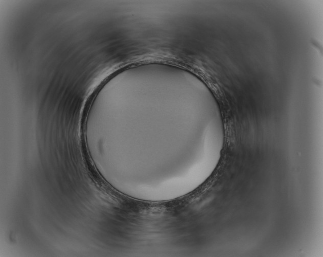 X0000090980196200708301257