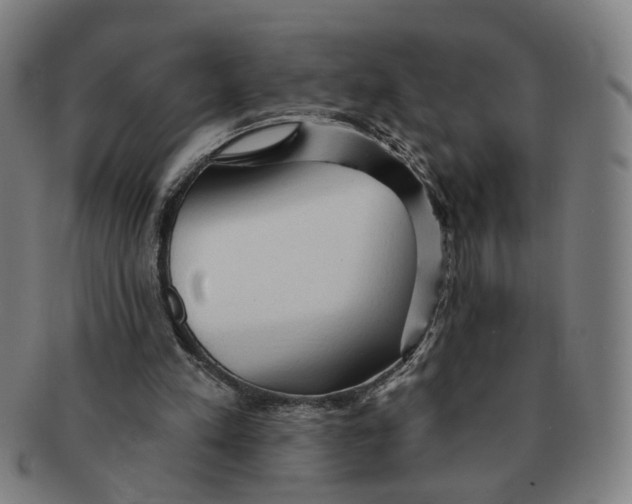 X0000090980197200708301257