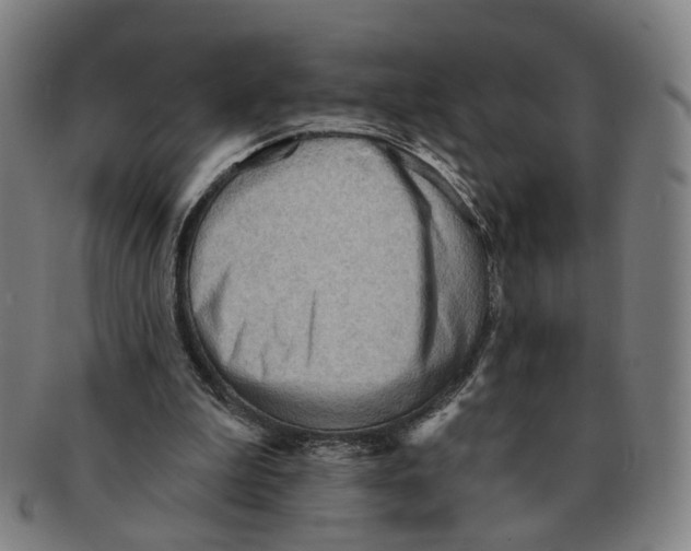 X0000090980199200708301257