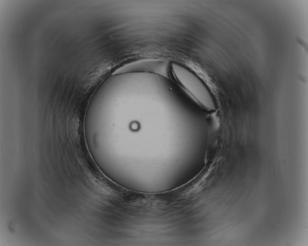 X0000090980201200708301257