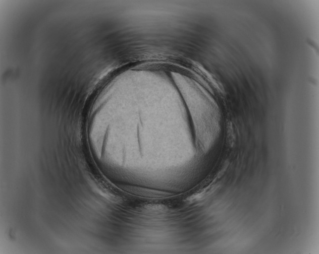 X0000090980203200708301257