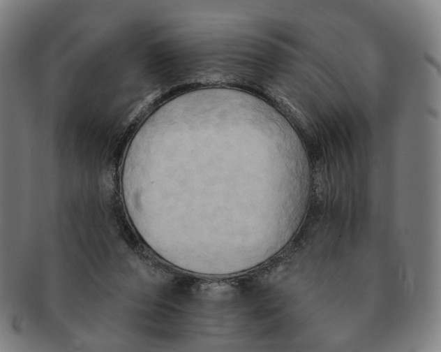 X0000090980208200708301257