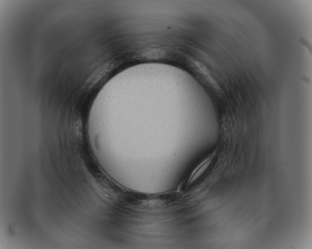 X0000090980212200708301257
