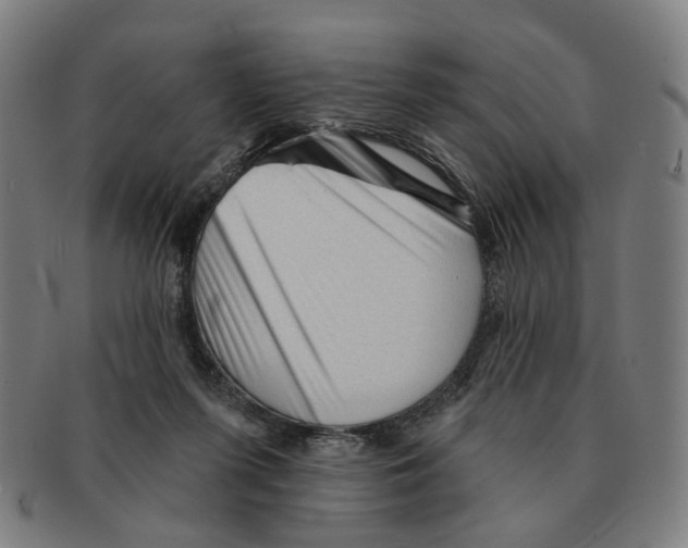 X0000090980215200708301257
