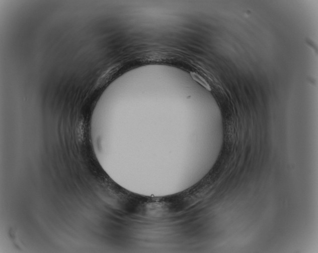 X0000090980216200708301257