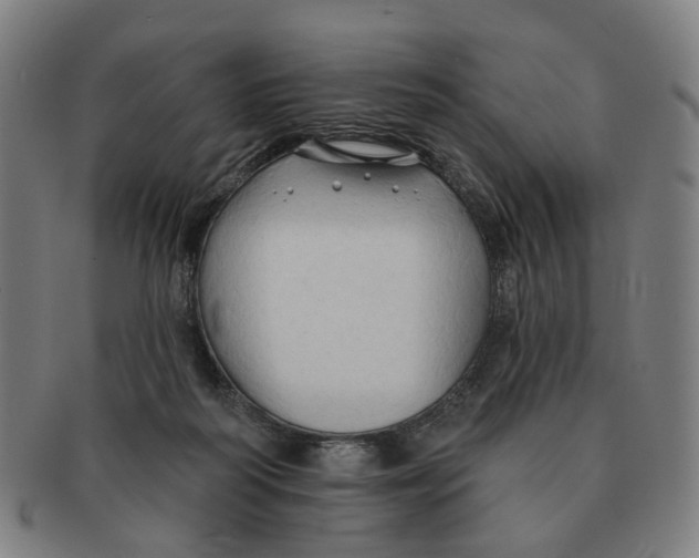 X0000090980218200708301256
