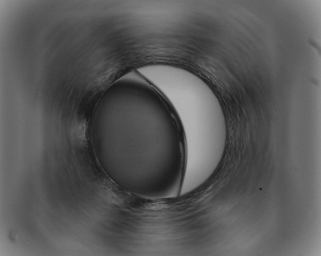 X0000090980219200708301256