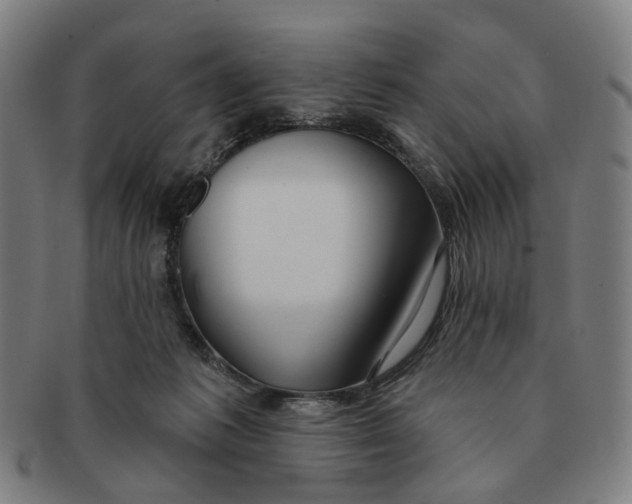 X0000090980221200708301256