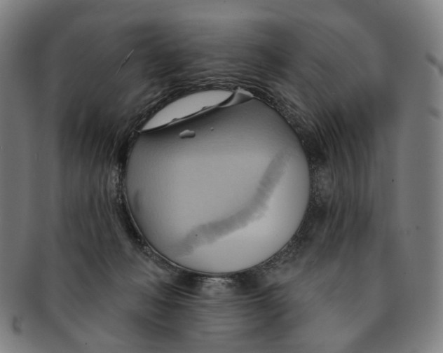 X0000090980222200708301256
