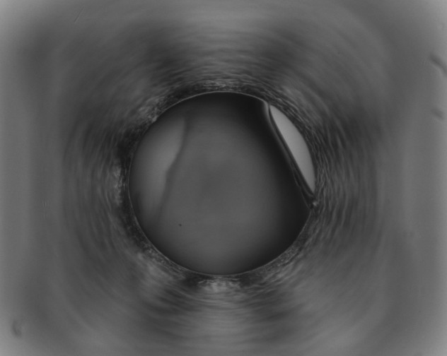 X0000090980223200708301256