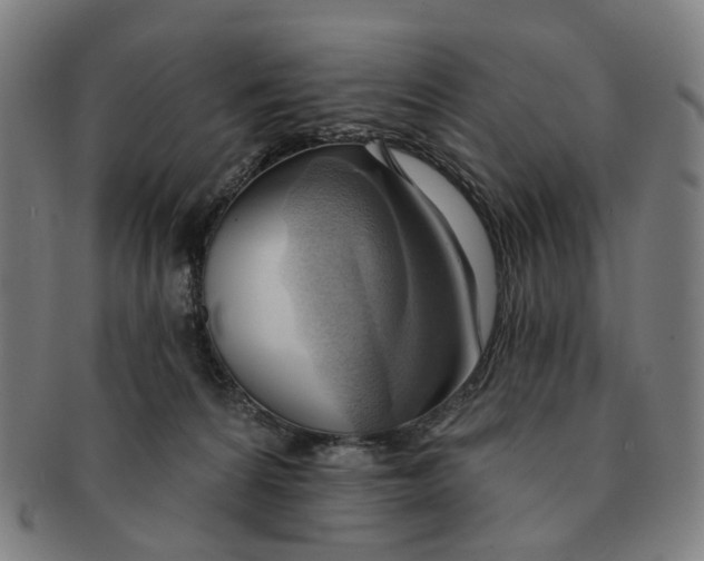X0000090980224200708301256
