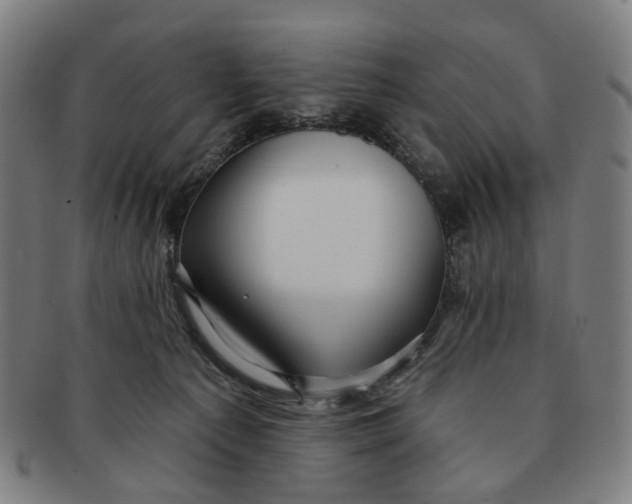 X0000090980225200708301256