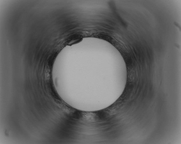 X0000090980226200708301256