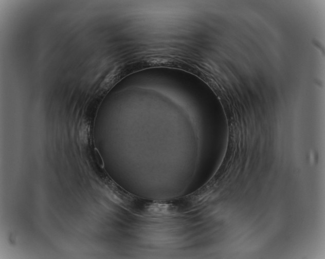 X0000090980227200708301256