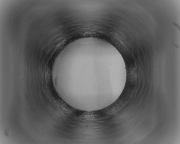 X0000090980228200708301256