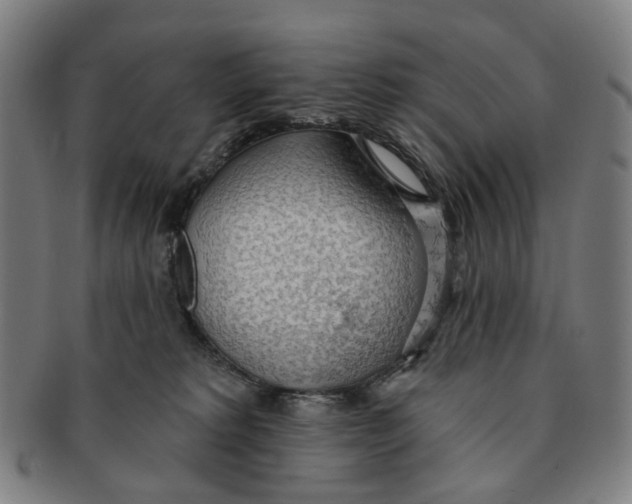 X0000090980229200708301256