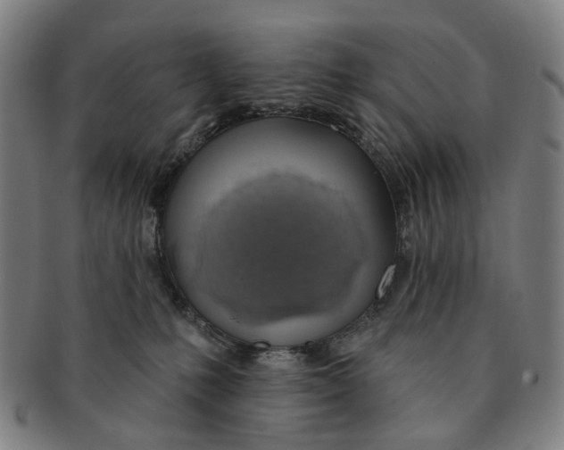 X0000090980231200708301256