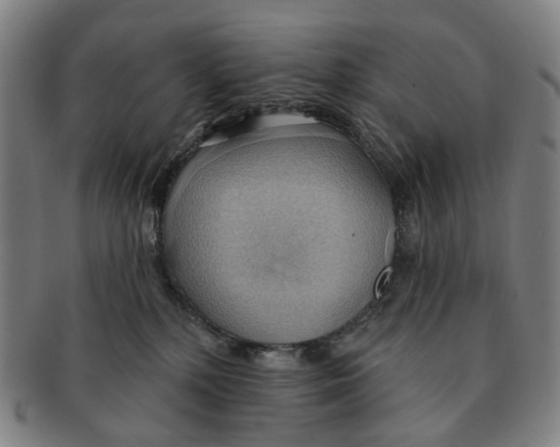 X0000090980232200708301256