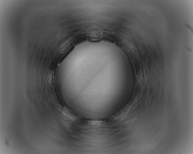 X0000090980233200708301256