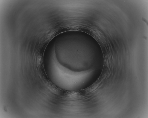 X0000090980235200708301256