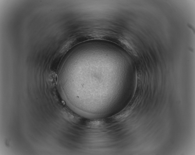 X0000090980237200708301256