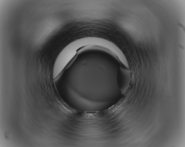 X0000090980239200708301256