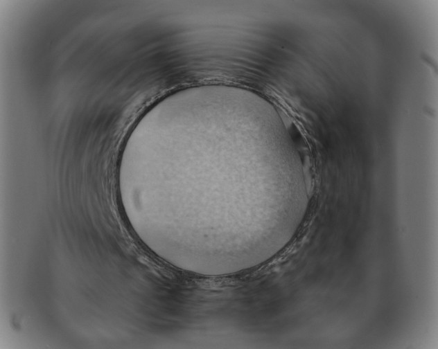 X0000090980241200708301255