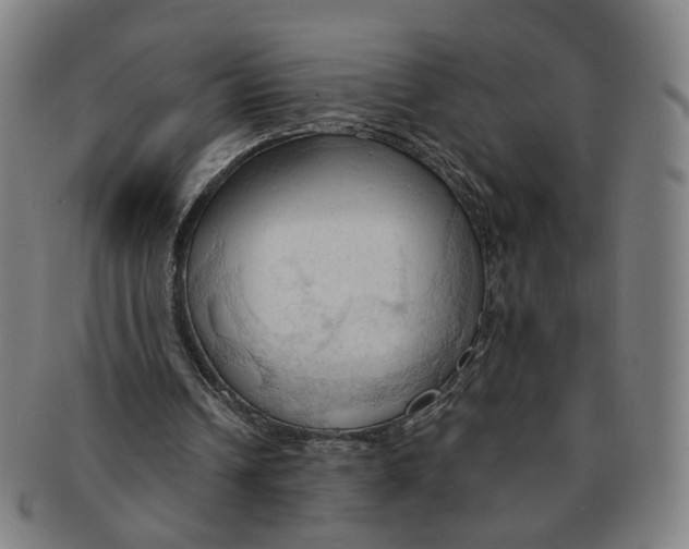 X0000090980242200708301255