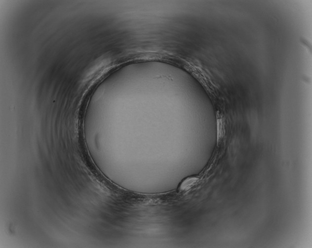 X0000090980243200708301255