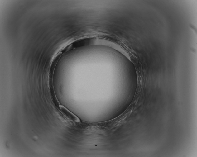 X0000090980244200708301256