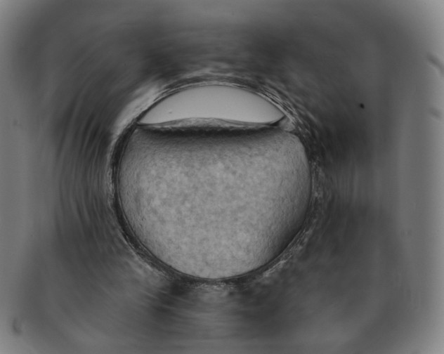 X0000090980245200708301256