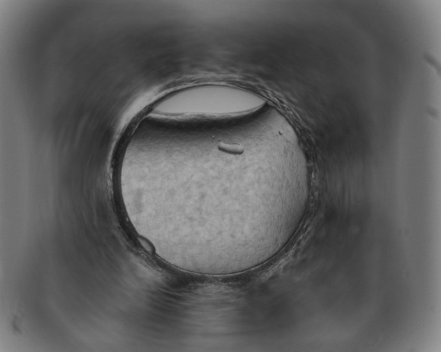 X0000090980246200708301256