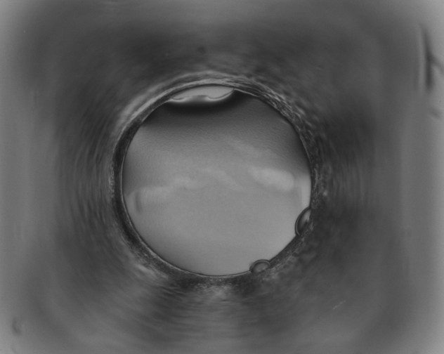 X0000090980247200708301256