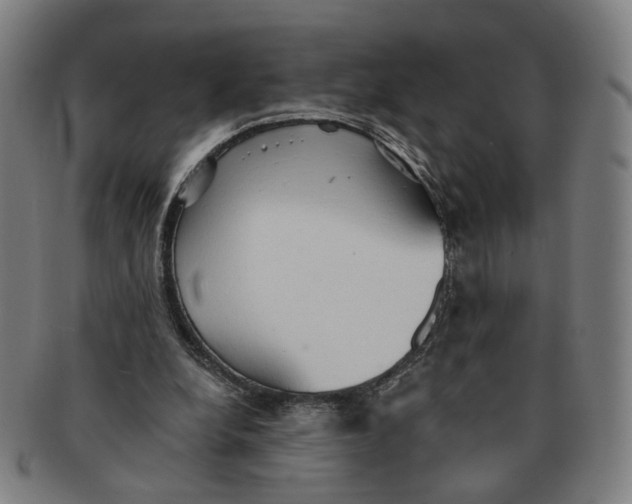 X0000090980248200708301256