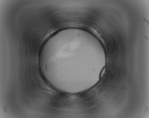 X0000090980249200708301256
