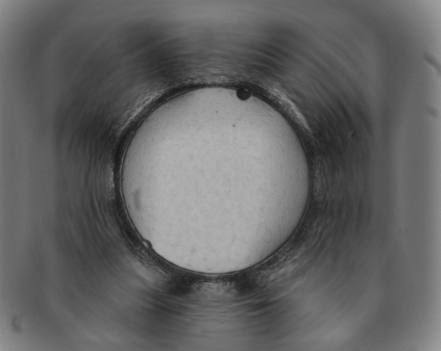 X0000090980251200708301256