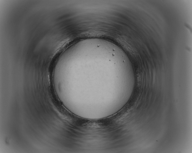 X0000090980254200708301256