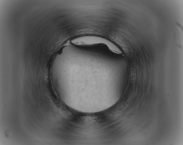 X0000090980255200708301256