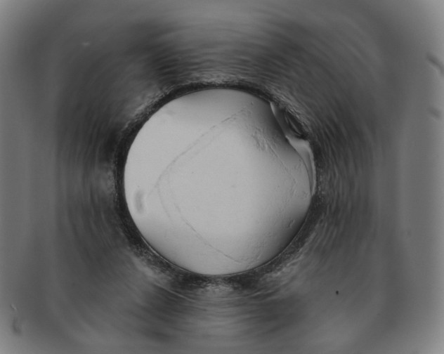 X0000090980256200708301256