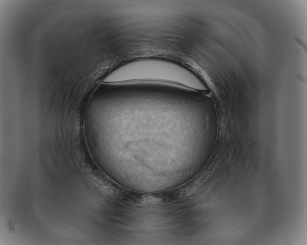 X0000090980257200708301256