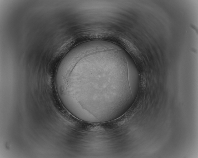 X0000090980258200708301256