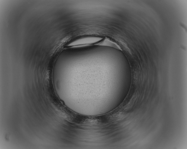 X0000090980260200708301256