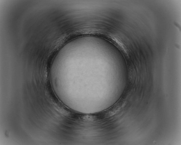X0000090980261200708301256