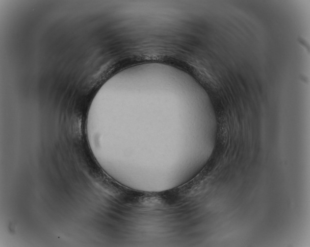 X0000090980262200708301256