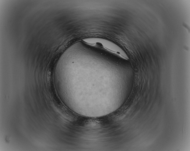 X0000090980263200708301256