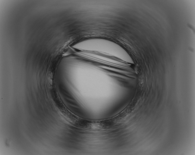 X0000090980264200708301256